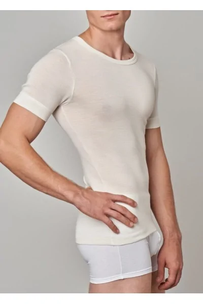 (3pcs) GICIPI t-shirt col rond homme 50% laine vierge 41 - LADYC